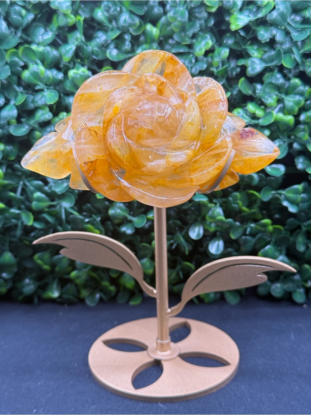 Beautiful Golden Healer Flower on Stand